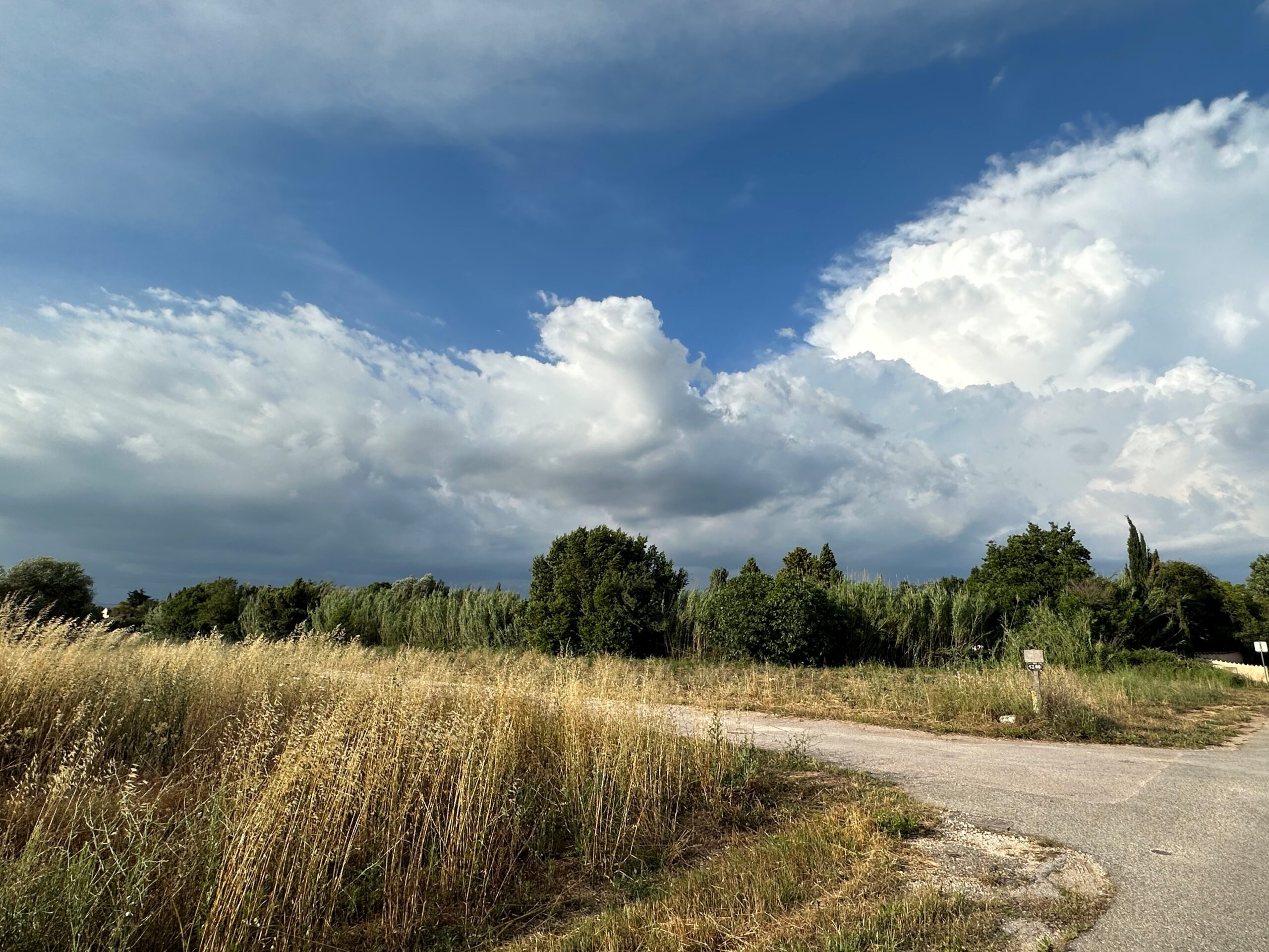 TOULON : Météo – Quelques nuages dans le ciel vendredi sur la Provence-Alpes-Côte d’Azur